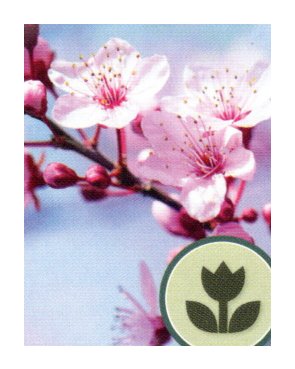 Макро режим